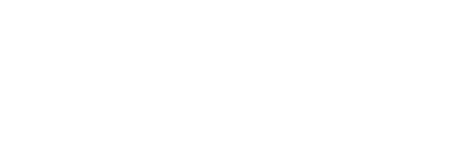Niche Home Inspections Logo White Cropped
