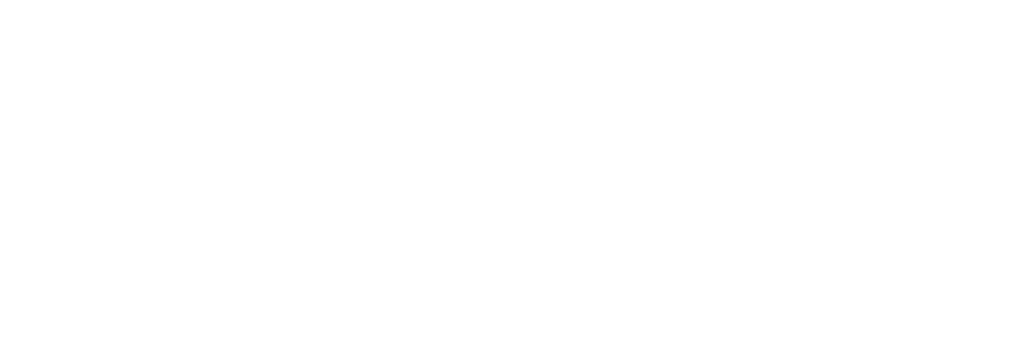 Niche Home Inspections Logo White Retina